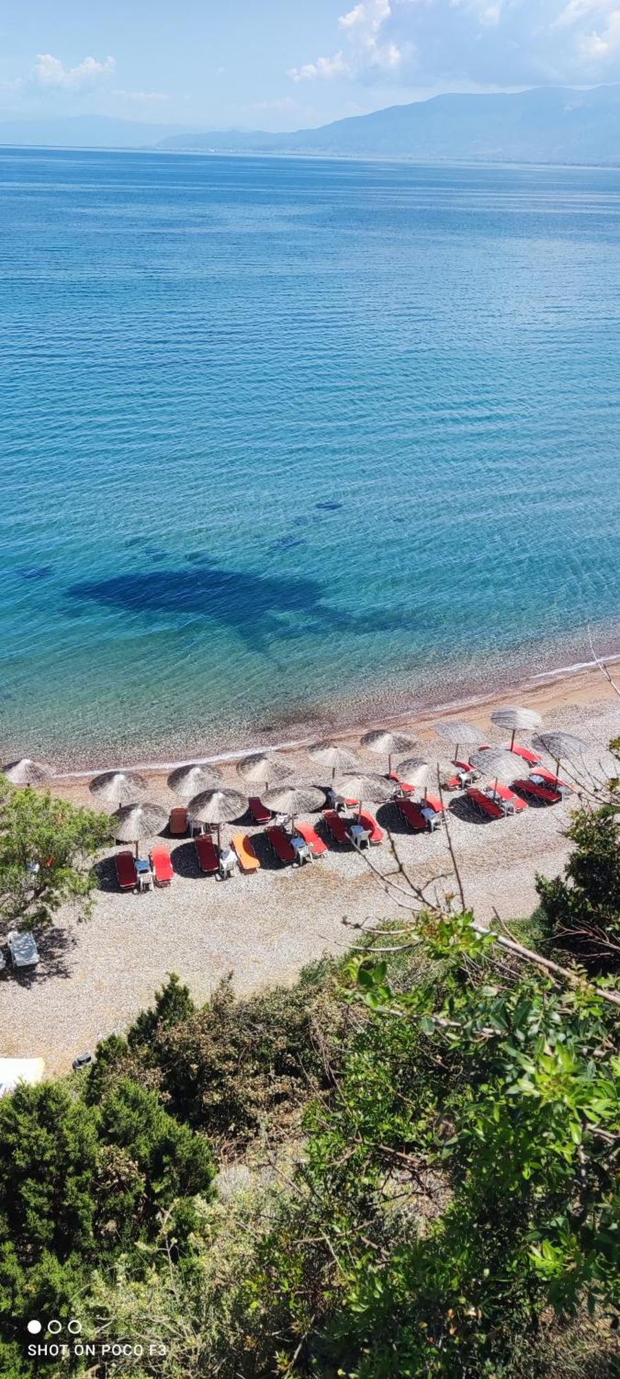 Koralli Sea View Hotel Káto Achaḯa Eksteriør bilde